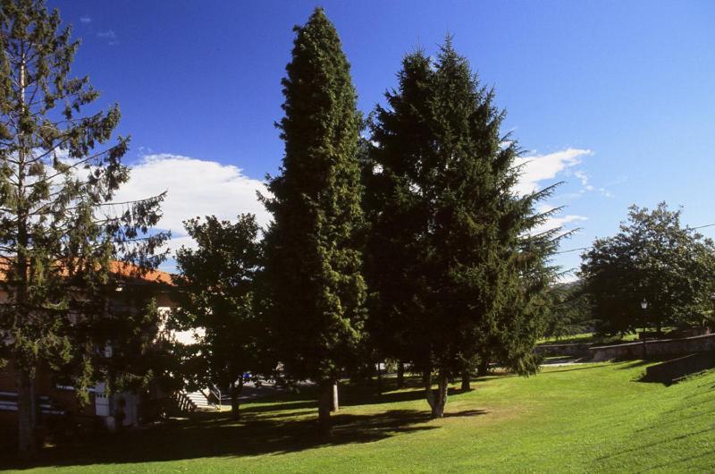 Hotel Villa De Nava Exterior photo